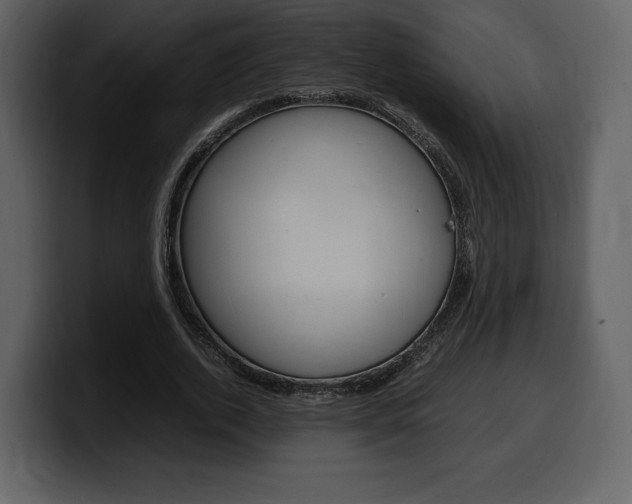 X0000099570728200805160725