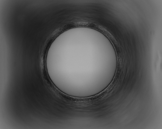 X0000099570729200805160725