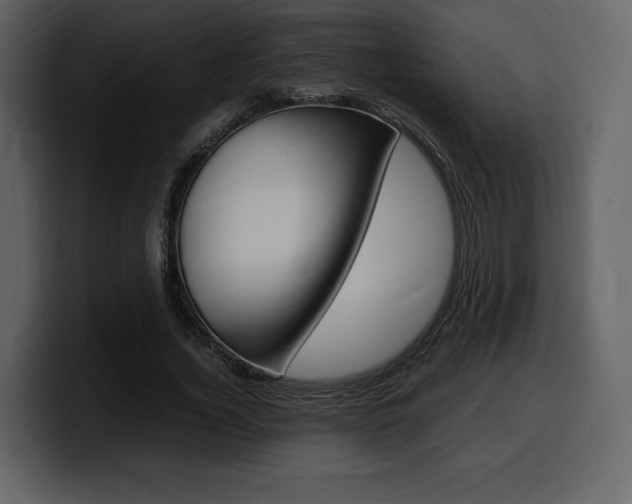 X0000099570732200805160725