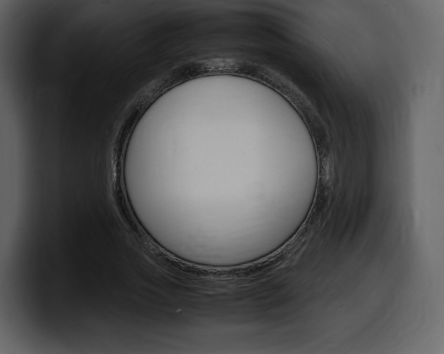 X0000099570733200805160725