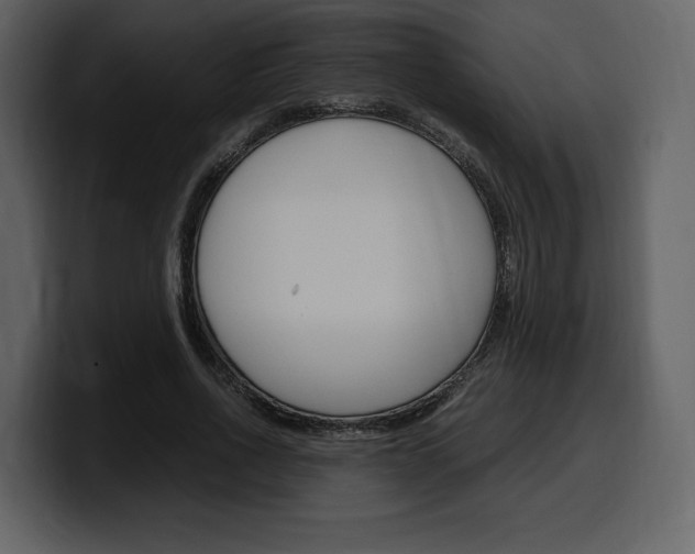 X0000099570734200805160725