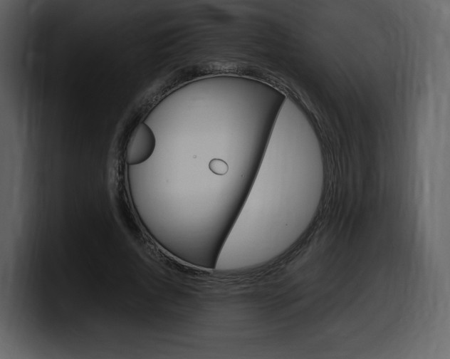 X0000099570736200805160725