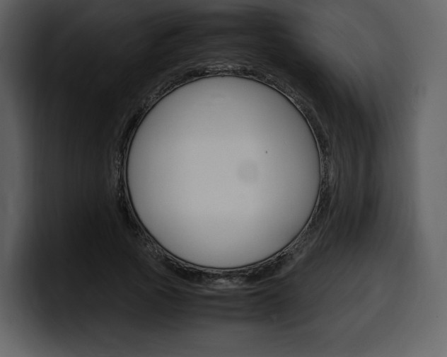 X0000099570737200805160725