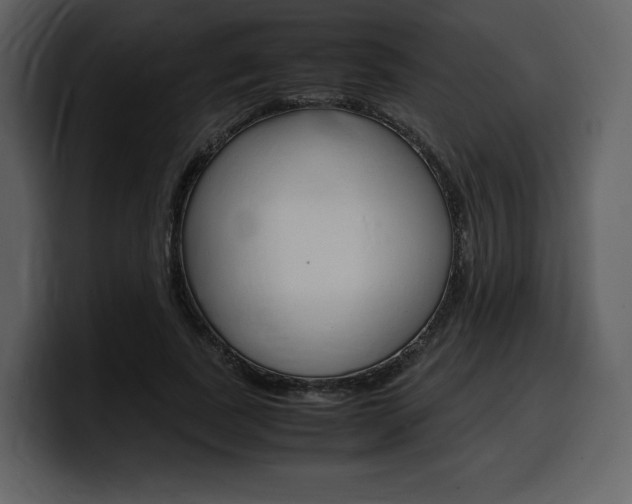 X0000099570739200805160725