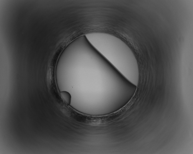 X0000099570740200805160725