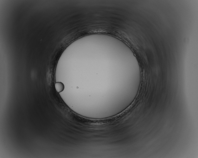 X0000099570741200805160725
