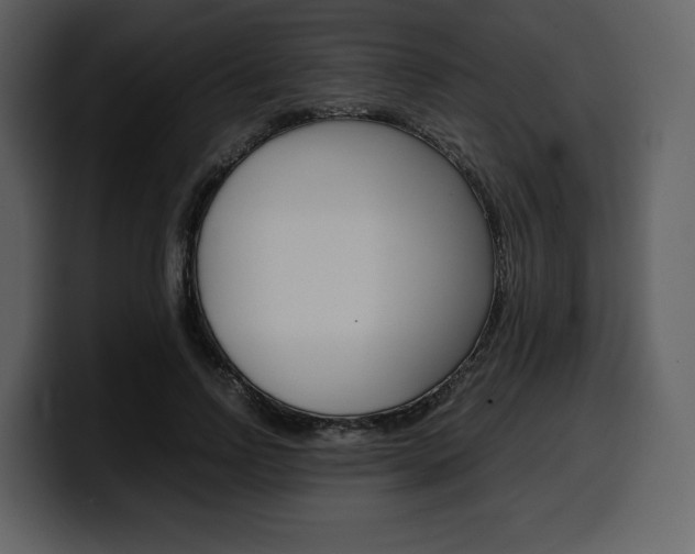 X0000099570742200805160725