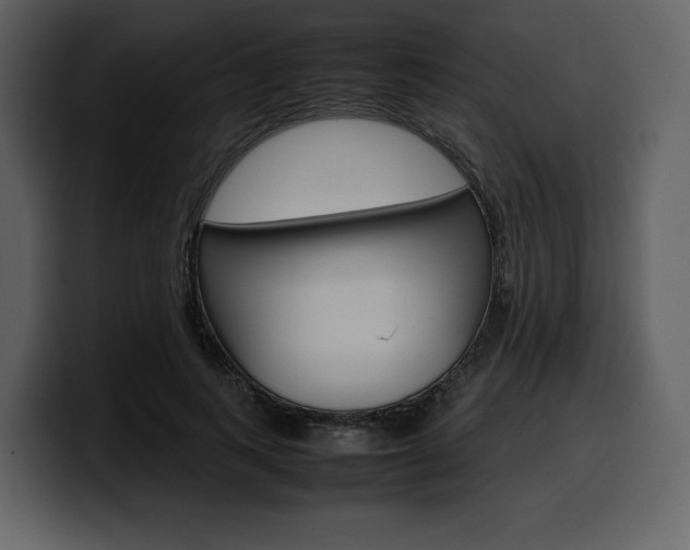 X0000099570743200805160725