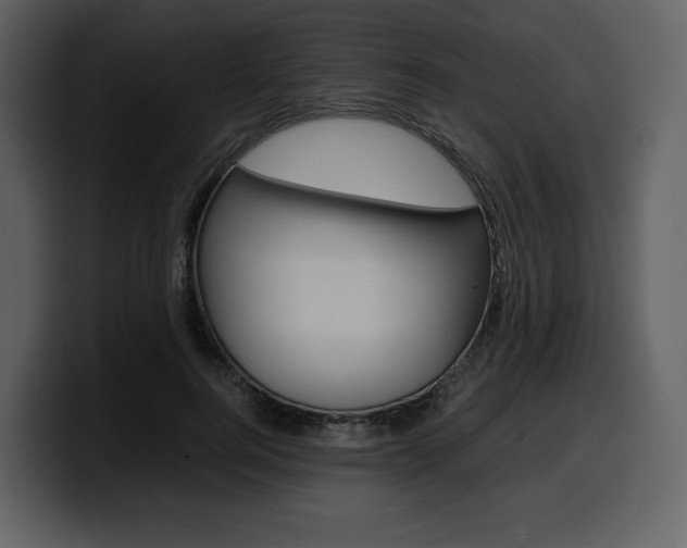 X0000099570744200805160725