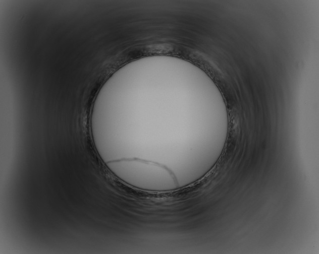 X0000099570745200805160725