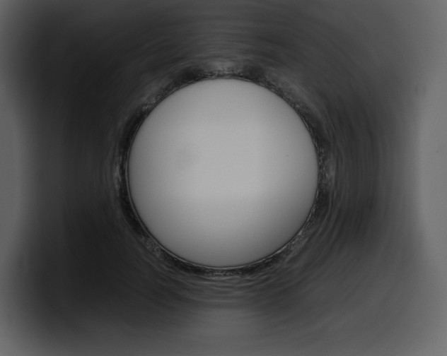 X0000099570746200805160725