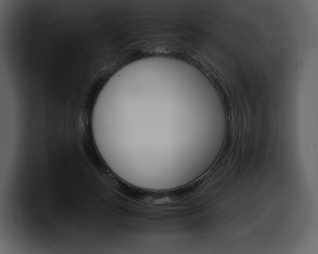 X0000099570747200805160725