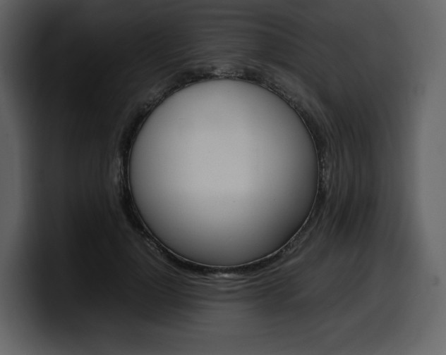 X0000099570748200805160725