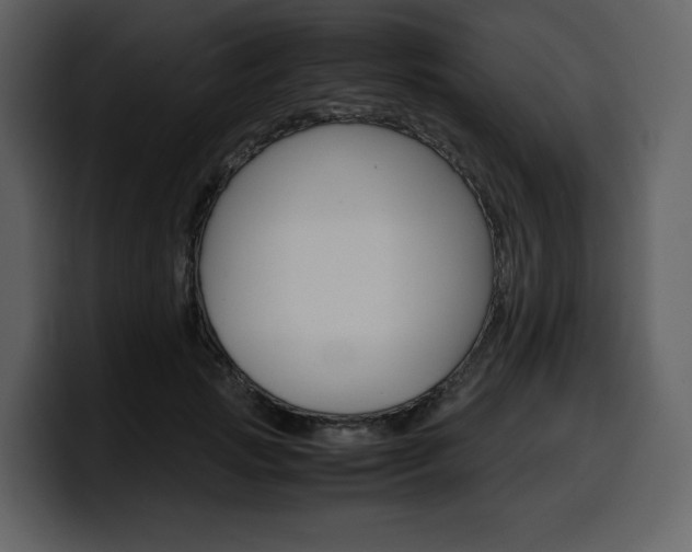 X0000099570749200805160725