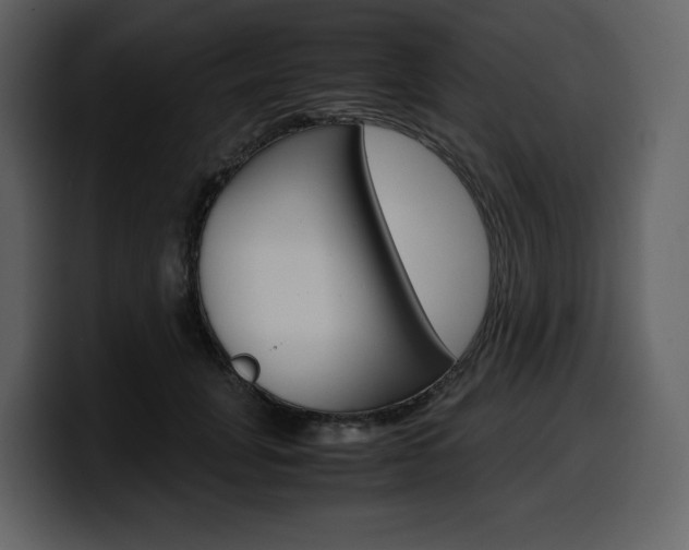 X0000099570751200805160725