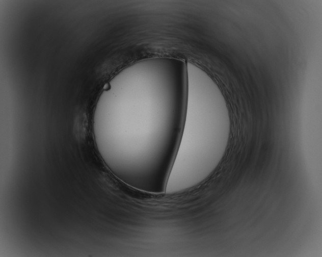 X0000099570752200805160725
