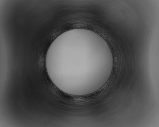 X0000099570753200805160725