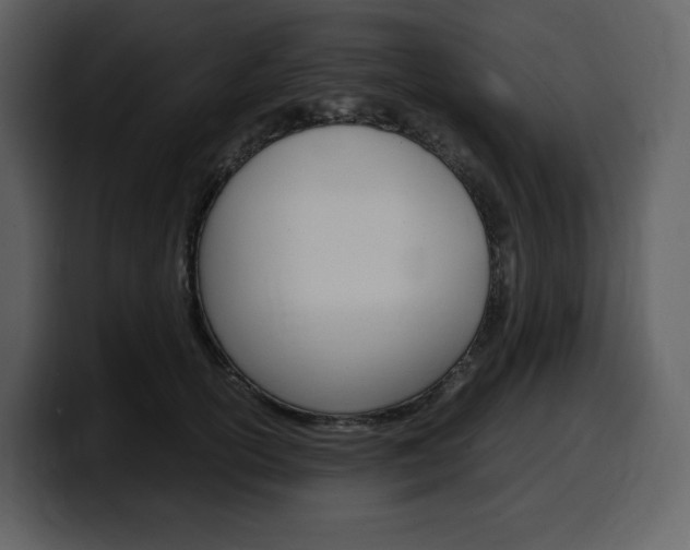 X0000099570754200805160725