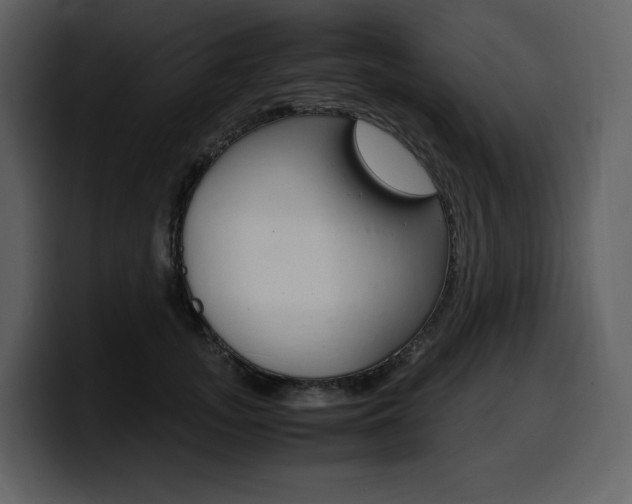 X0000099570755200805160725