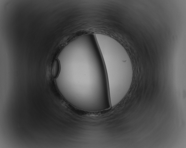 X0000099570756200805160725
