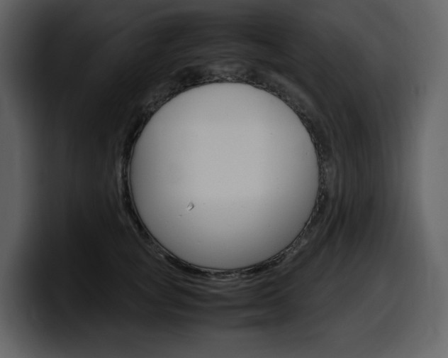 X0000099570757200805160725