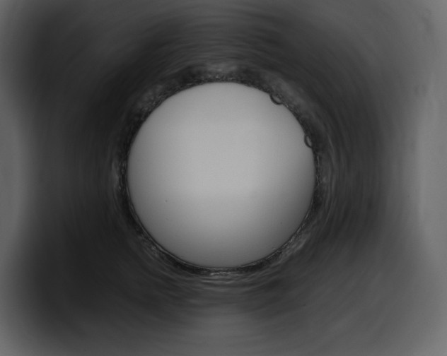 X0000099570758200805160725