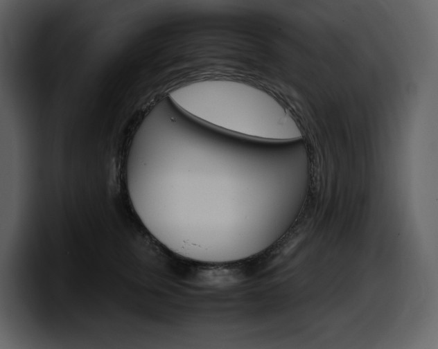X0000099570759200805160725