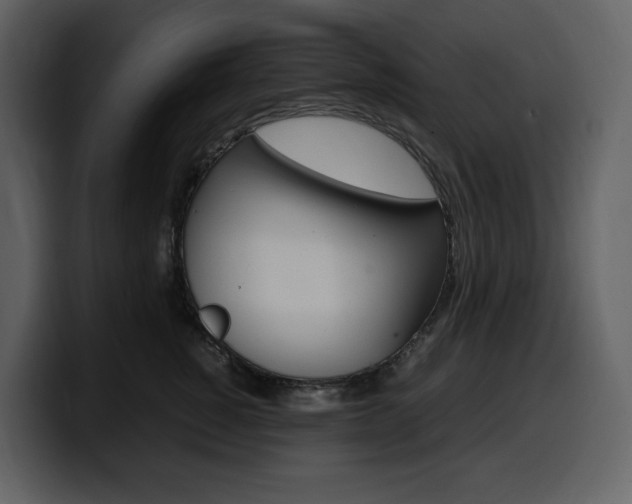 X0000099570760200805160725