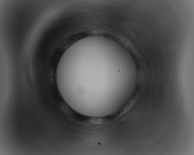X0000099570762200805160725