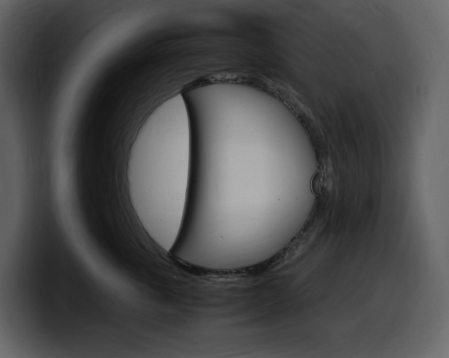X0000099570763200805160726