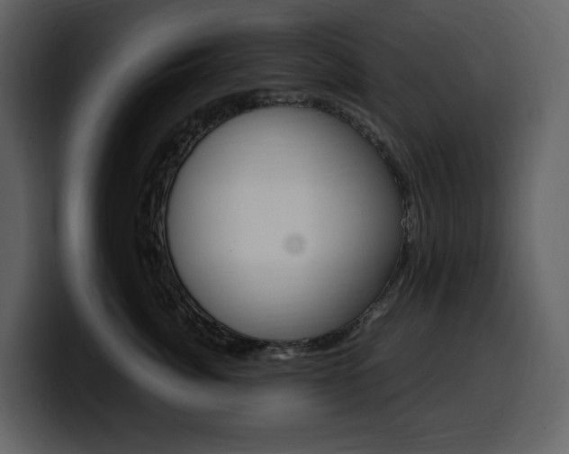 X0000099570764200805160726