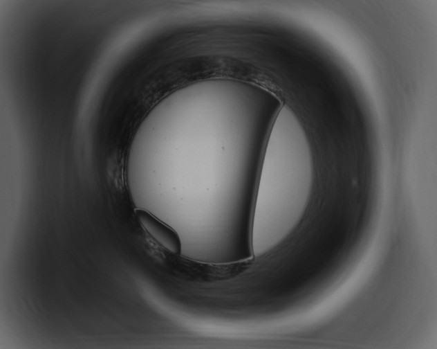 X0000099570766200805160726