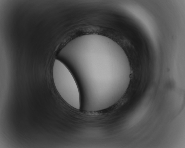 X0000099570767200805160726