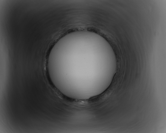 X0000099570768200805160726