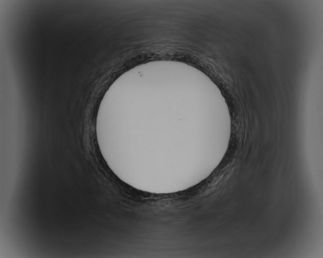 X0000099570769200805160725