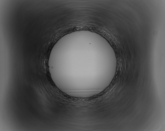 X0000099570770200805160725