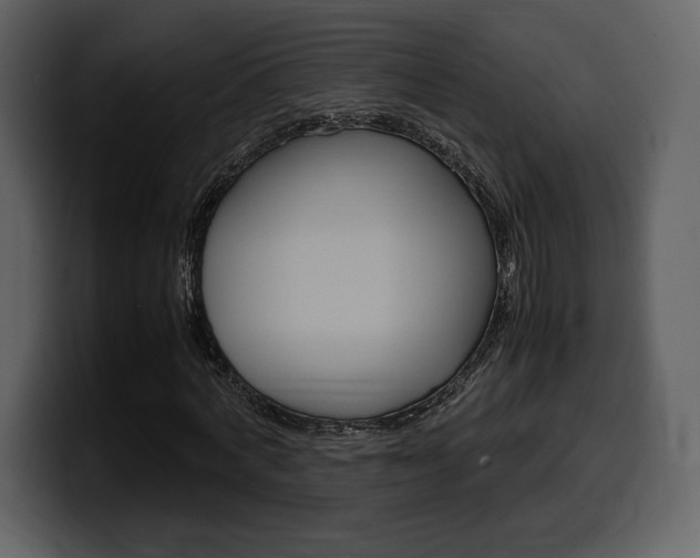 X0000099570772200805160725