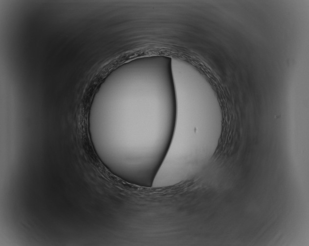 X0000099570773200805160725