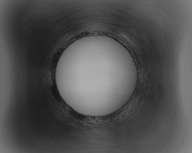 X0000099570774200805160725
