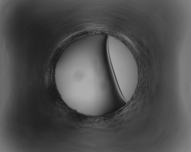 X0000099570775200805160725