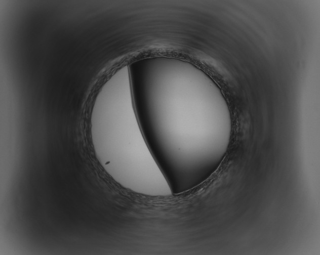 X0000099570776200805160725