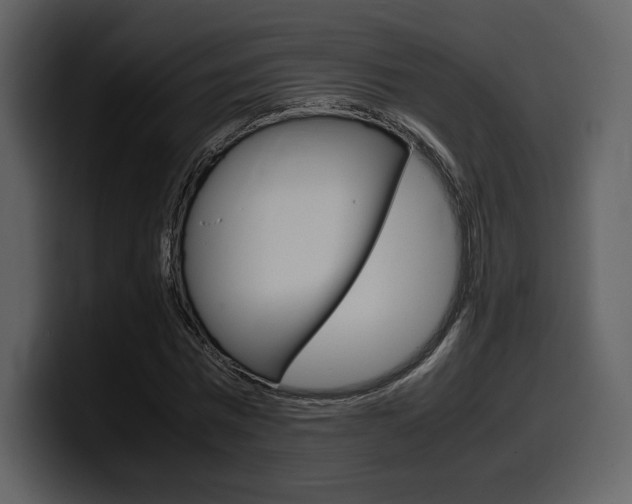 X0000099570777200805160725