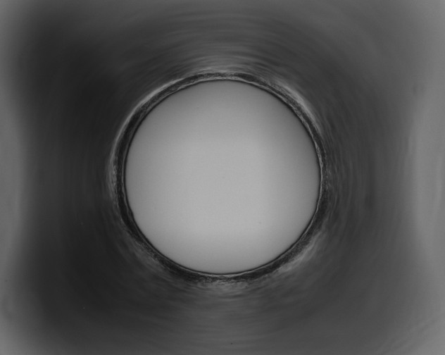 X0000099570779200805160725