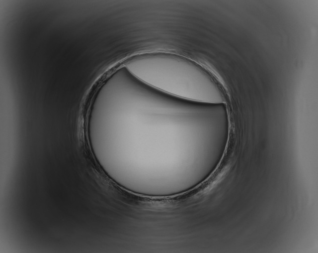 X0000099570781200805160725