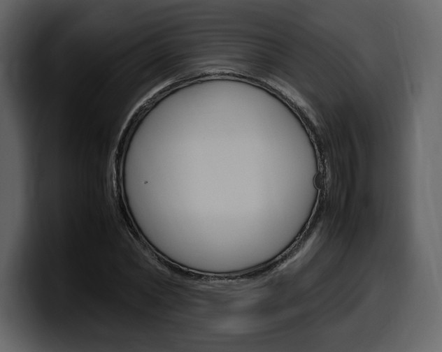 X0000099570782200805160725