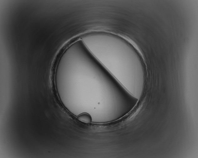 X0000099570783200805160725