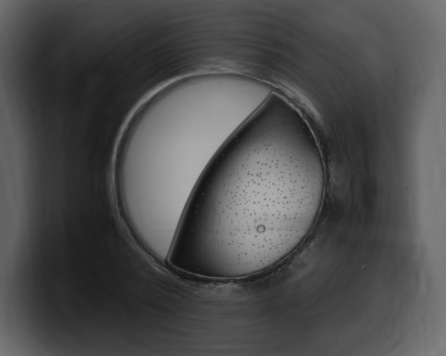 X0000099570784200805160725