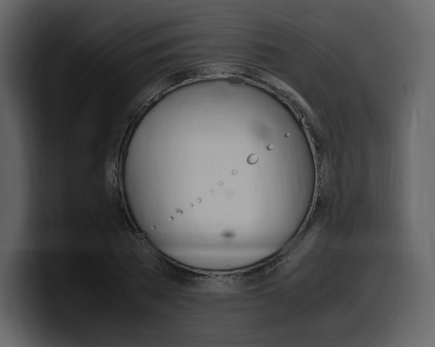 X0000099570785200805160725