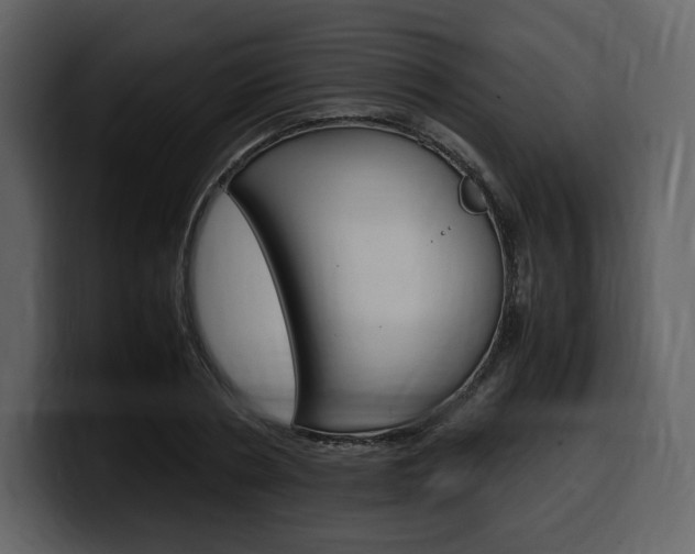 X0000099570786200805160725