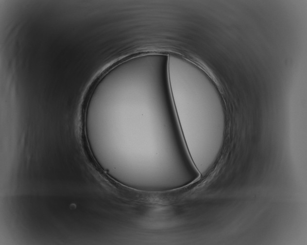 X0000099570787200805160725